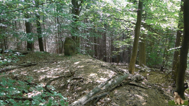 Ritterstein Nr. 173-4 Schanze 4 1793-94.JPG - Ritterstein Nr.173 Schanze 4 1793/94